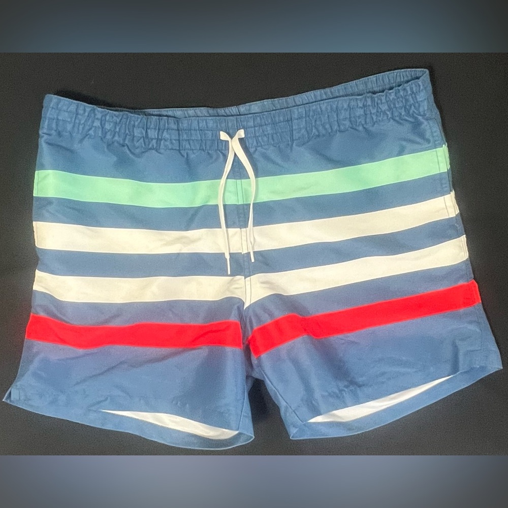 🩳 Chubbies Men’s Striped Swim Trunks – Size L (Made in USA)